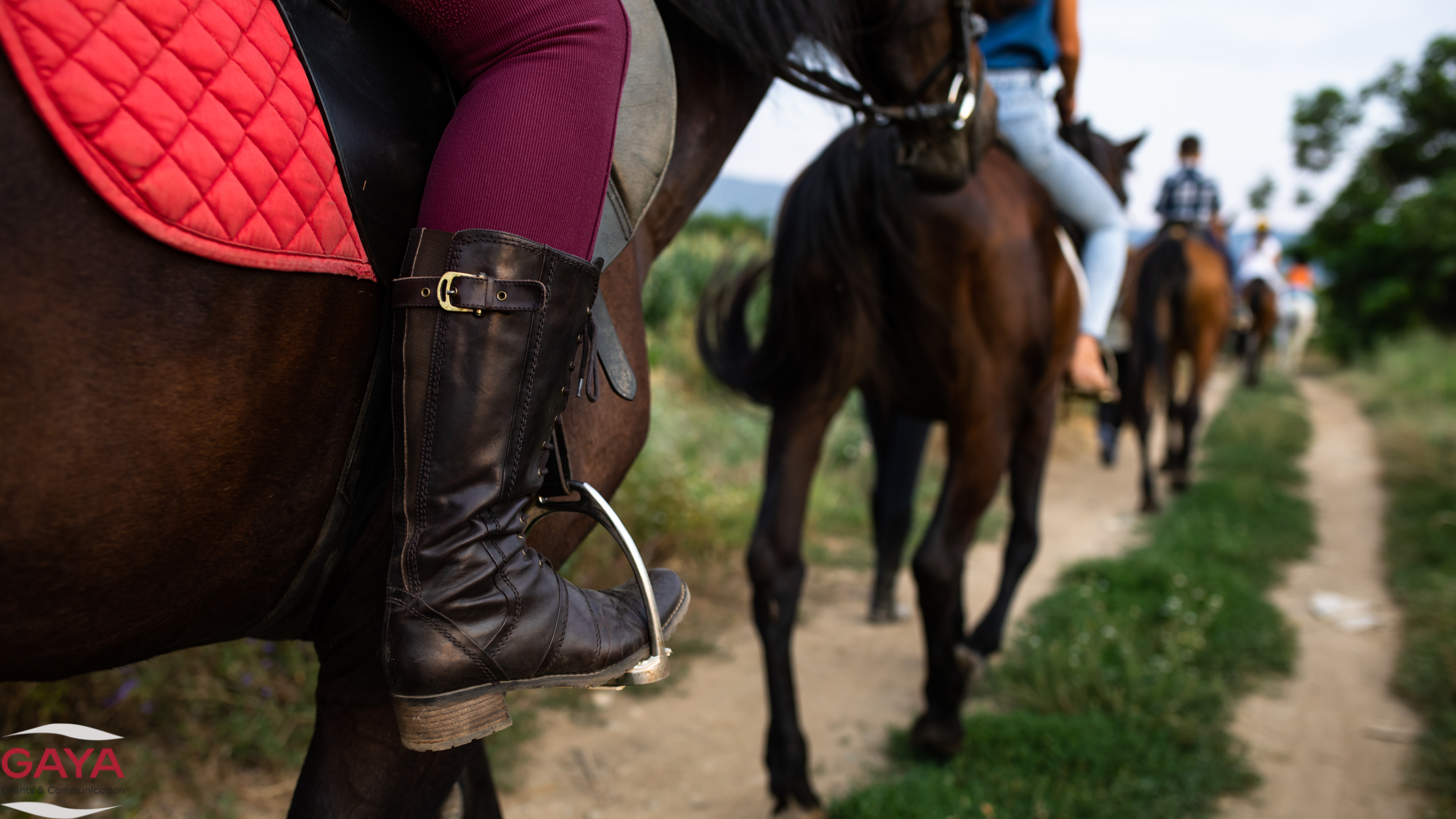 Passeggiata a Cavallo GAYA